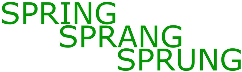 SpringSprang